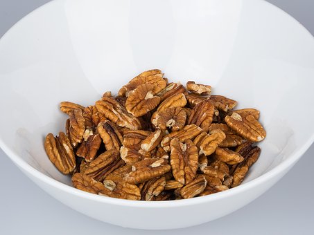 Pecans Squares by Pesach and Batya Narkis