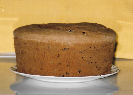 Susan Juster Viner’s Mocha Chip Sponge Cake Susan Juster Viner’s Mocha Chip Sponge Cake